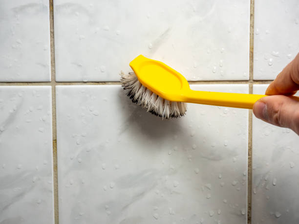Best Residential Mold Removal  in Yoe, PA