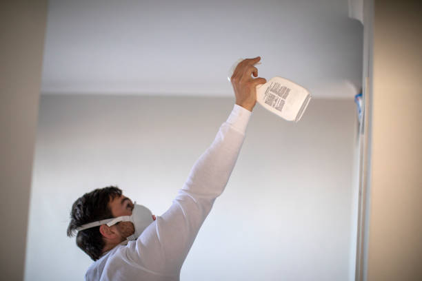 Best Certified Mold Removal  in Yoe, PA
