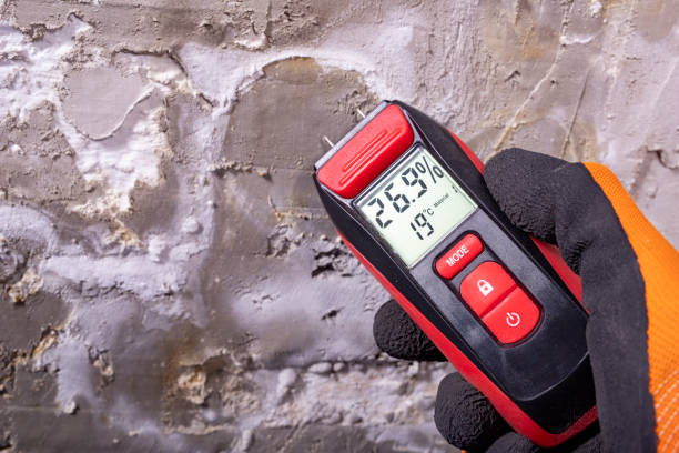 Best Black Mold Removal  in Yoe, PA