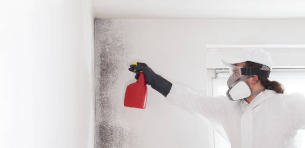 Best Certified Mold Removal  in Yoe, PA
