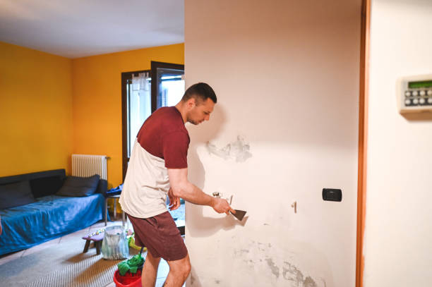 Best Toxic Mold Removal  in Yoe, PA