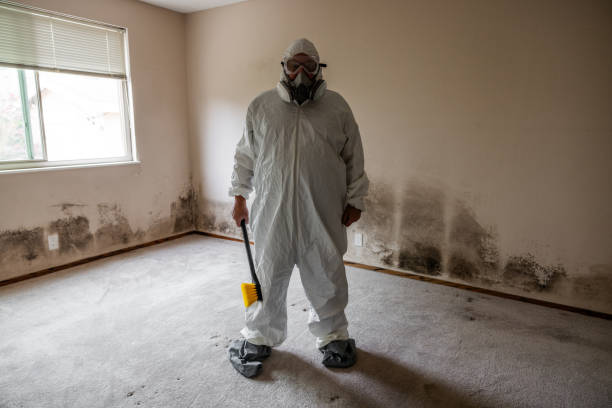 Best Mold Damage Repair  in Yoe, PA