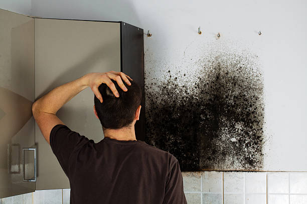 Best Crawl Space Mold Removal  in Yoe, PA